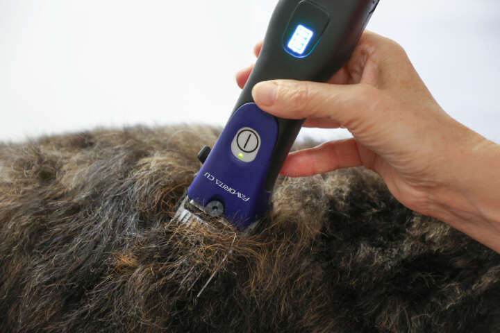 AESCULAP Akkuschermaschine Favorita CLi